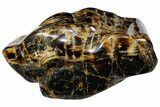 Wide Piece Of Polished Indonesian Amber - Massive! #176134-1